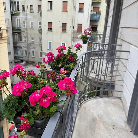 Serghouse 住宿加早餐酒店 4*